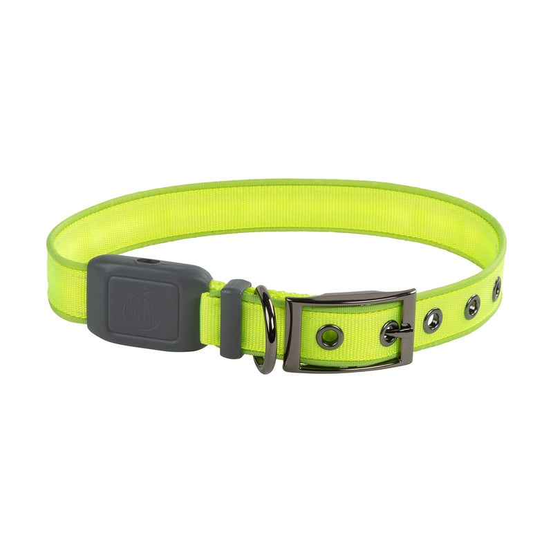 Nite Ize NiteDog Rechargeable LED Collar - Light Up Dog Collar with Durable Metal Buckle - Water-Resistant & Rechargeable Collar - Dog Supplies for Night Activities - Large, Lime - Image 2